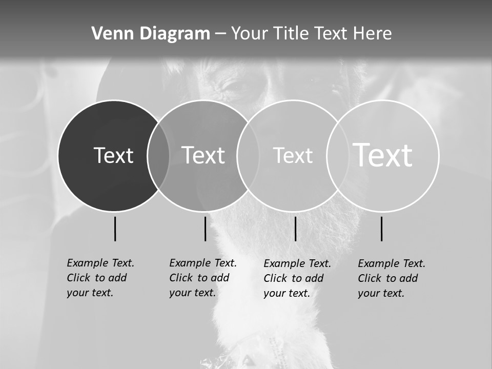 Kind Santa Claus Black And White Background PowerPoint Template