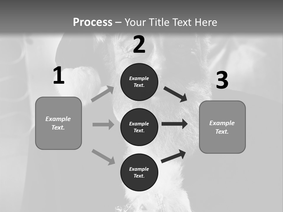 Kind Santa Claus Black And White Background PowerPoint Template