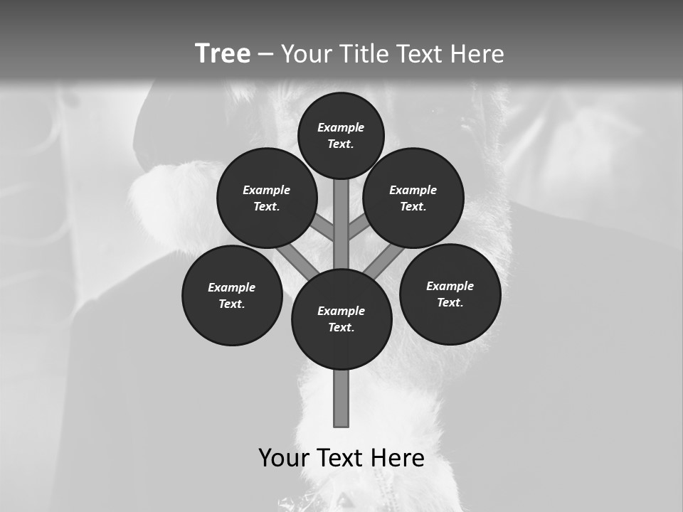 Kind Santa Claus Black And White Background PowerPoint Template