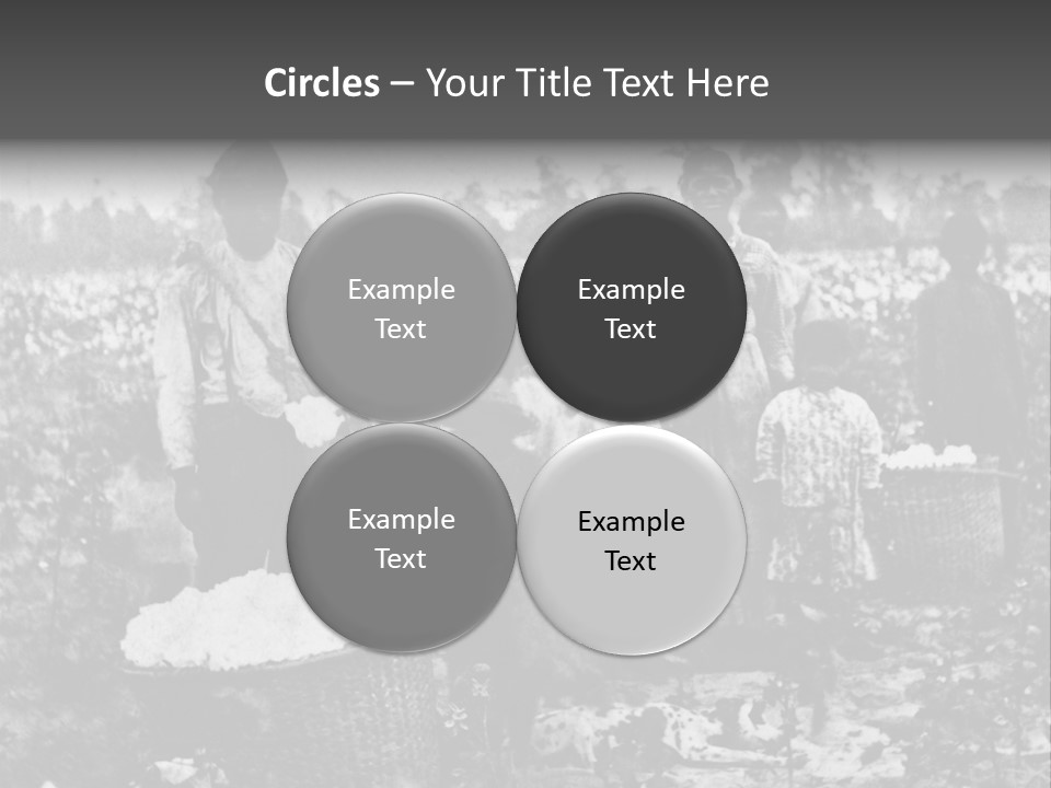 African Family Harvests PowerPoint Template