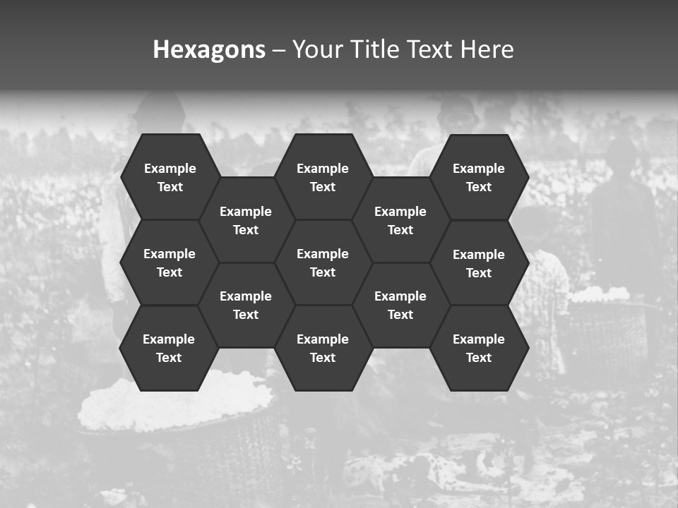 African Family Harvests PowerPoint Template