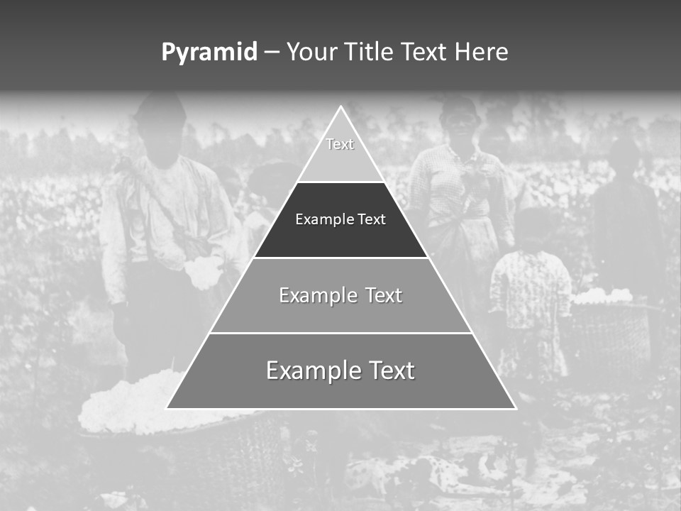 African Family Harvests PowerPoint Template