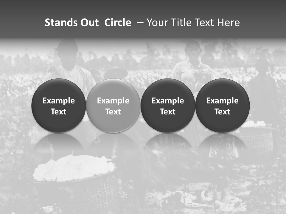 African Family Harvests PowerPoint Template