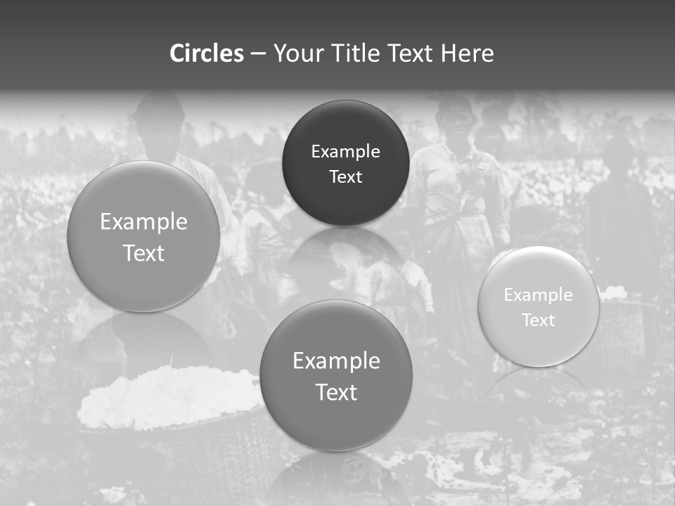 African Family Harvests PowerPoint Template