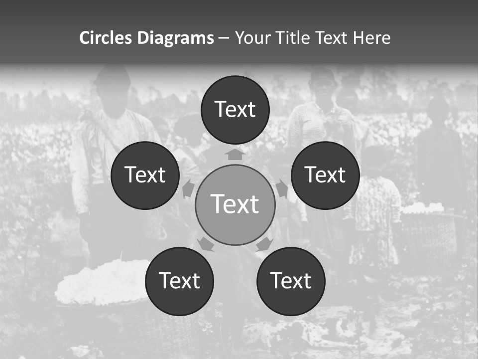 African Family Harvests PowerPoint Template