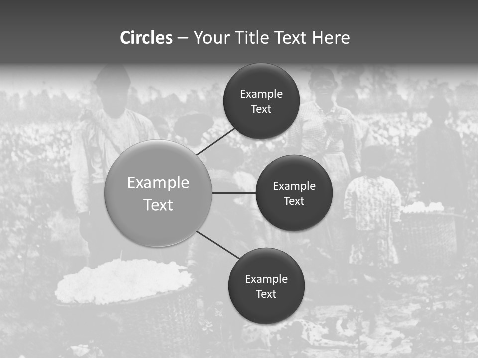 African Family Harvests PowerPoint Template