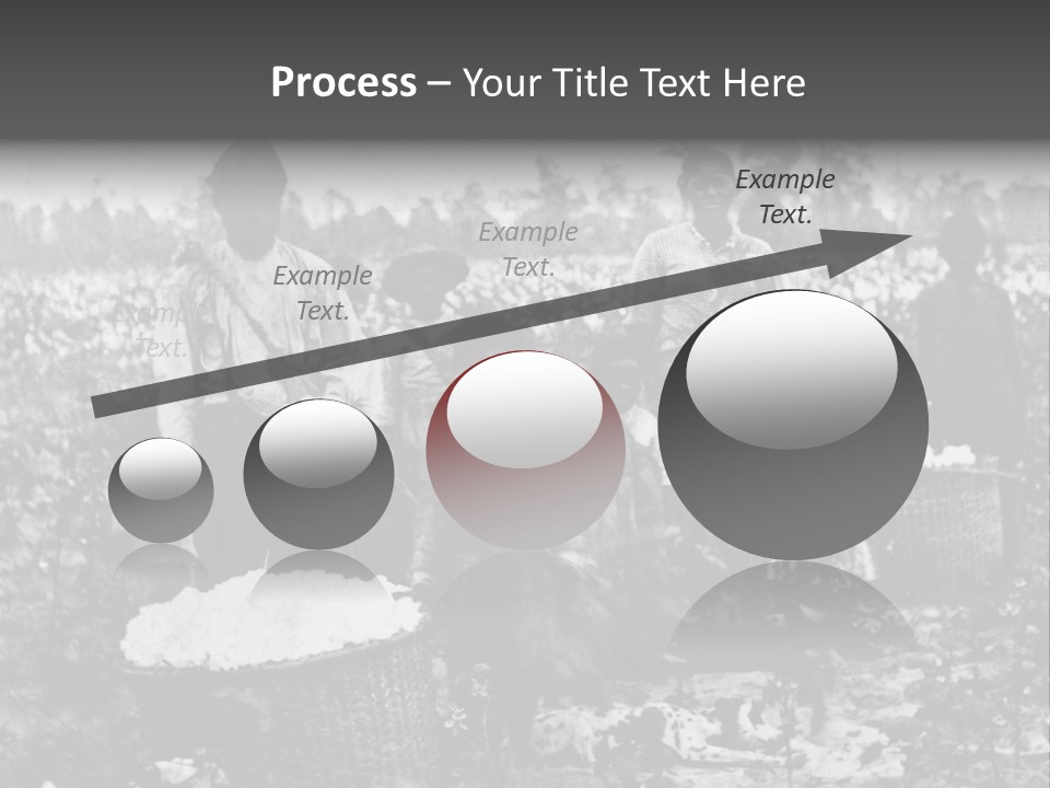 African Family Harvests PowerPoint Template