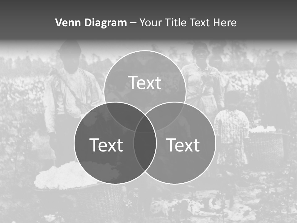 African Family Harvests PowerPoint Template