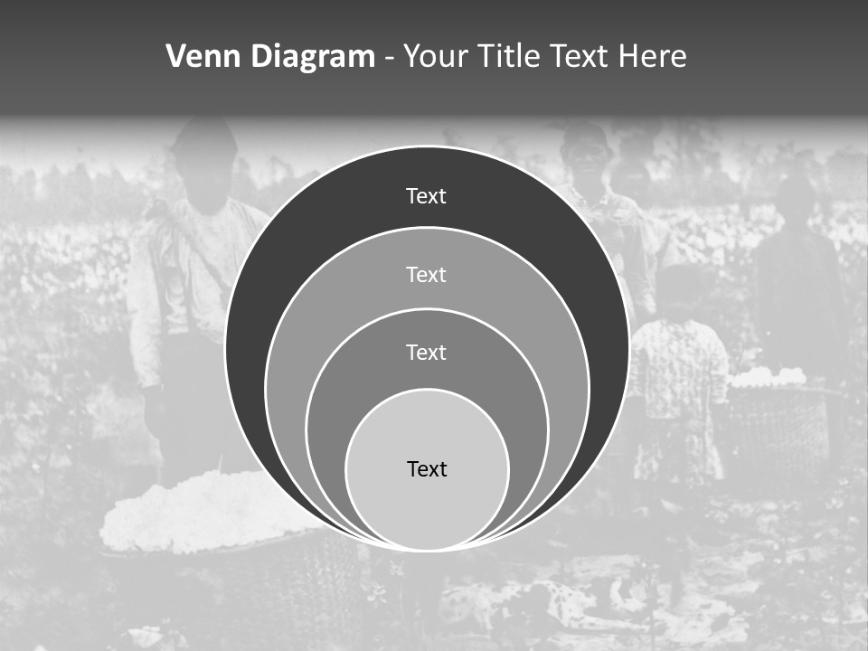 African Family Harvests PowerPoint Template