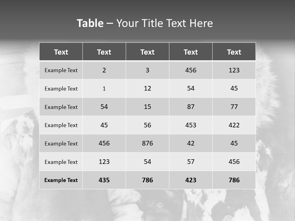 North Pole 20 Th Century People In Fur Coats PowerPoint Template