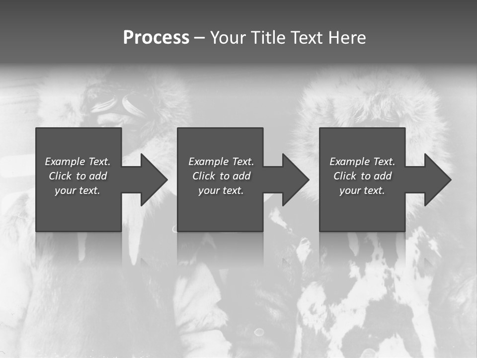 North Pole 20 Th Century People In Fur Coats PowerPoint Template