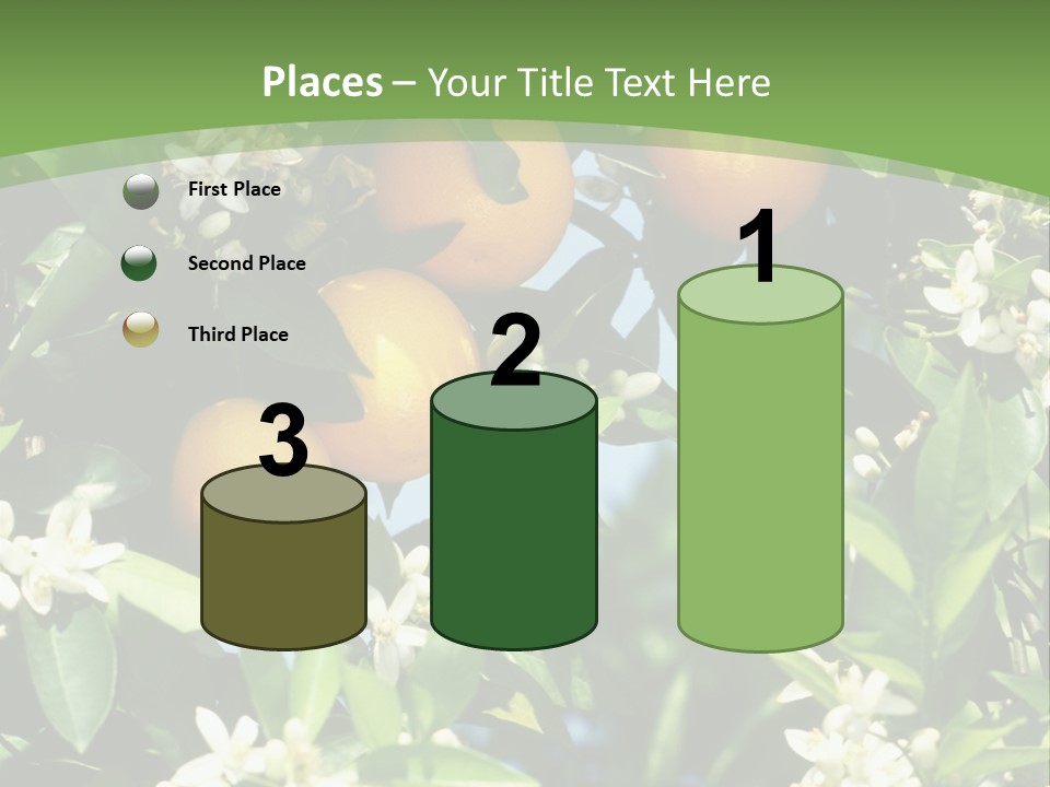 Orange Tree PowerPoint Template