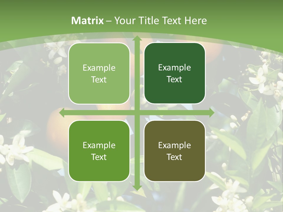 Orange Tree PowerPoint Template