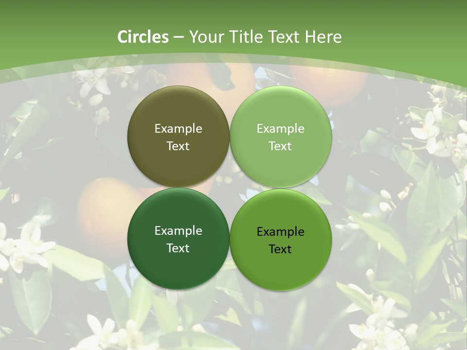 Orange Tree PowerPoint Template