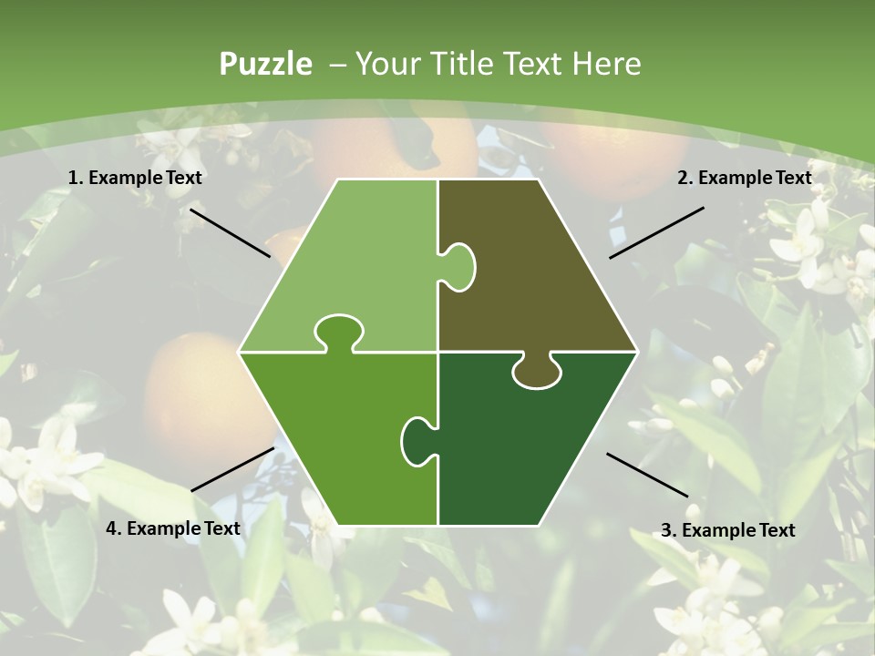 Orange Tree PowerPoint Template