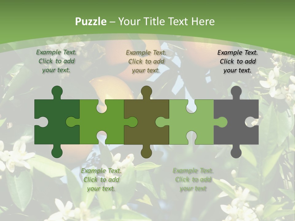 Orange Tree PowerPoint Template