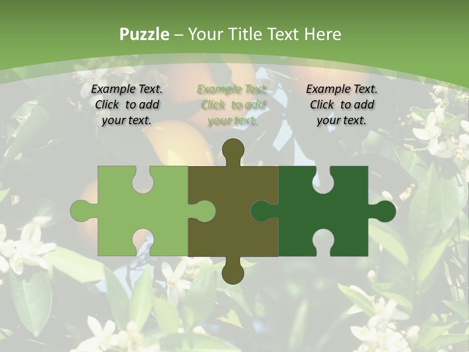 Orange Tree PowerPoint Template