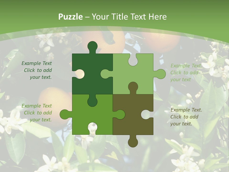 Orange Tree PowerPoint Template