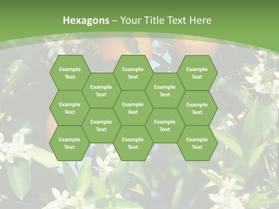 Orange Tree PowerPoint Template