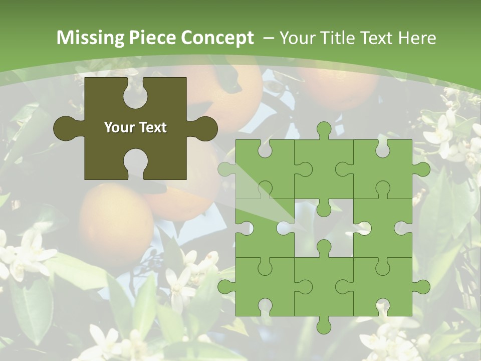 Orange Tree PowerPoint Template