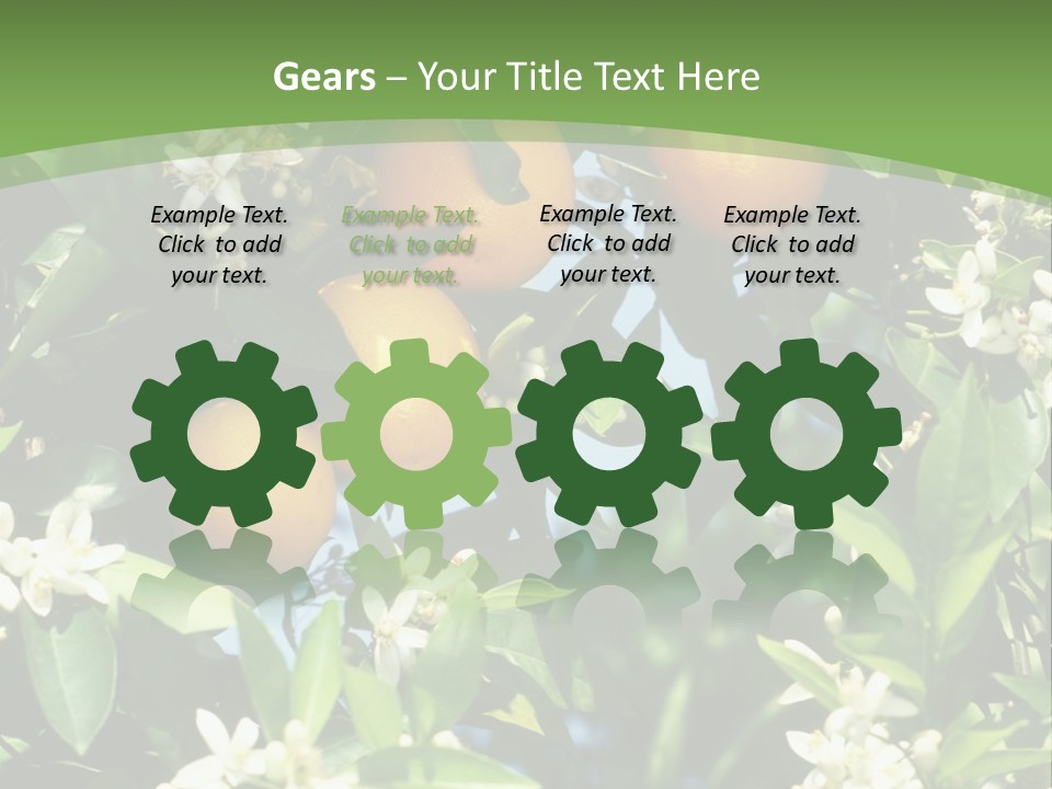 Orange Tree PowerPoint Template