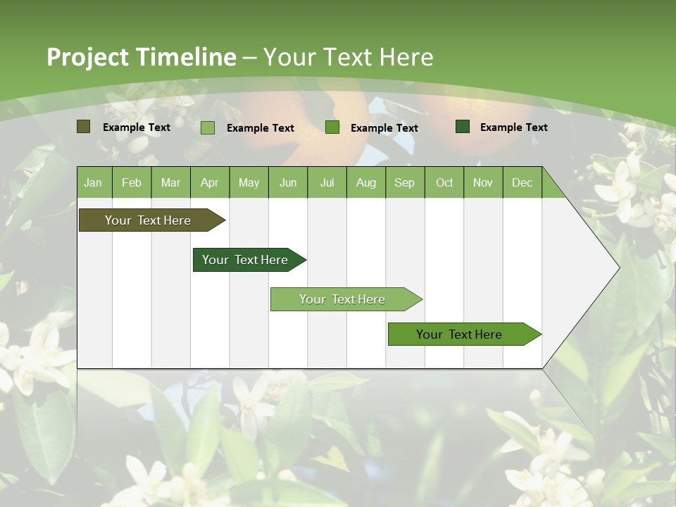 Orange Tree PowerPoint Template