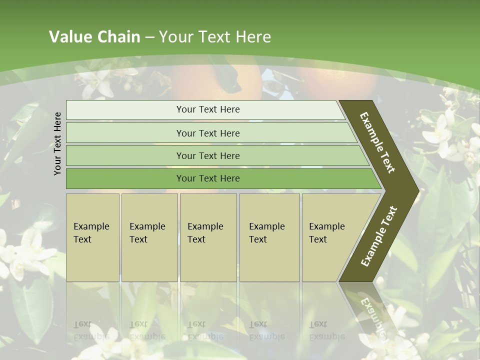Orange Tree PowerPoint Template