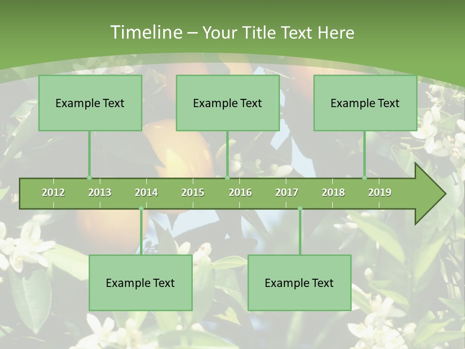Orange Tree PowerPoint Template