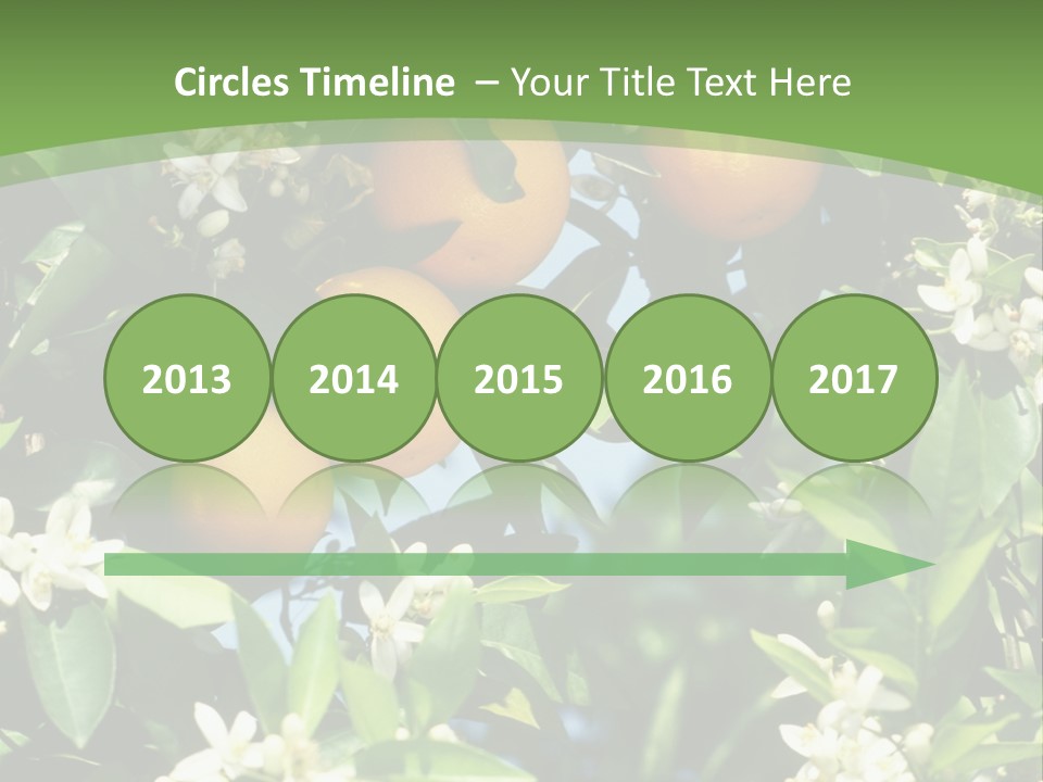 Orange Tree PowerPoint Template