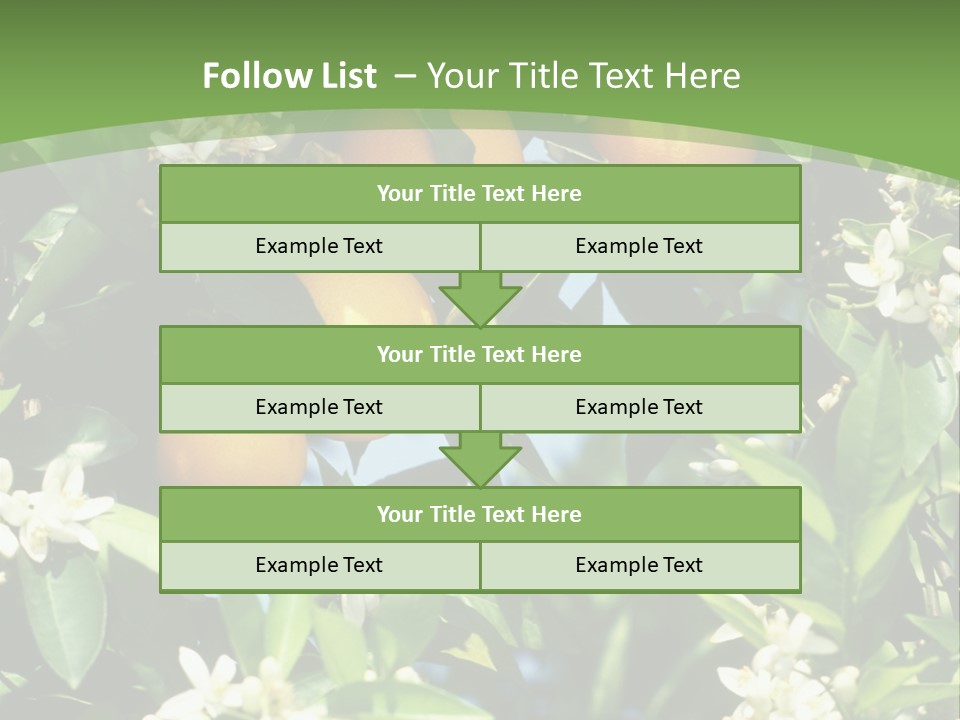 Orange Tree PowerPoint Template