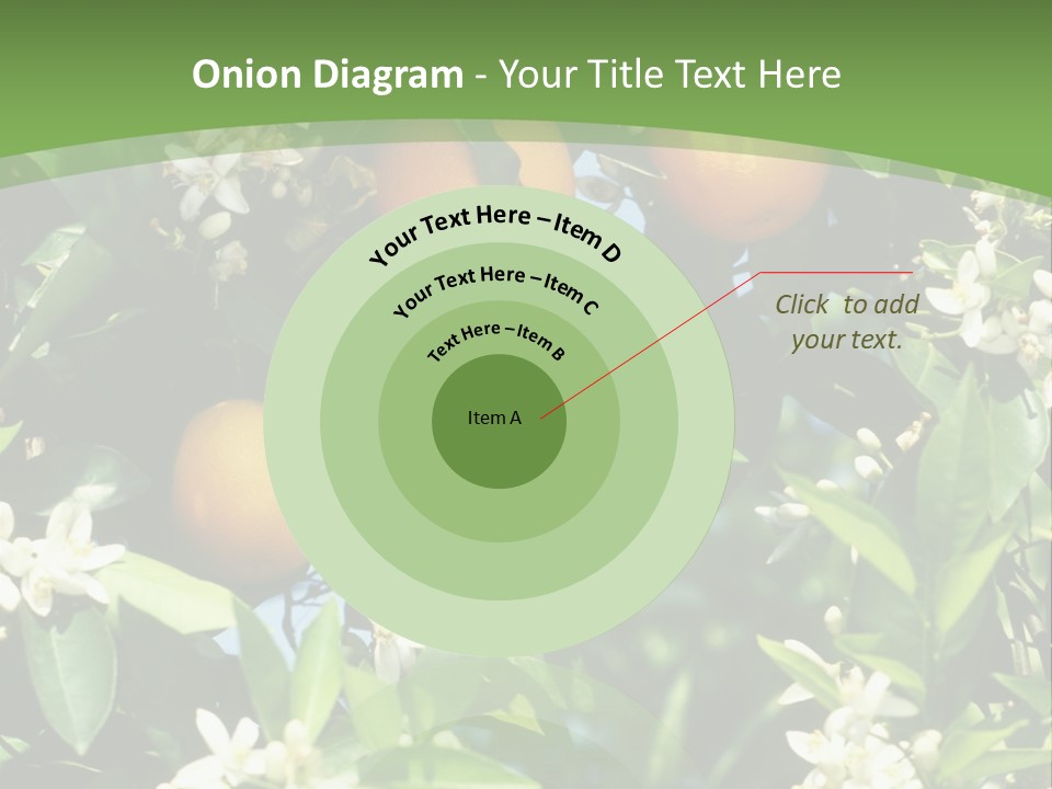 Orange Tree PowerPoint Template
