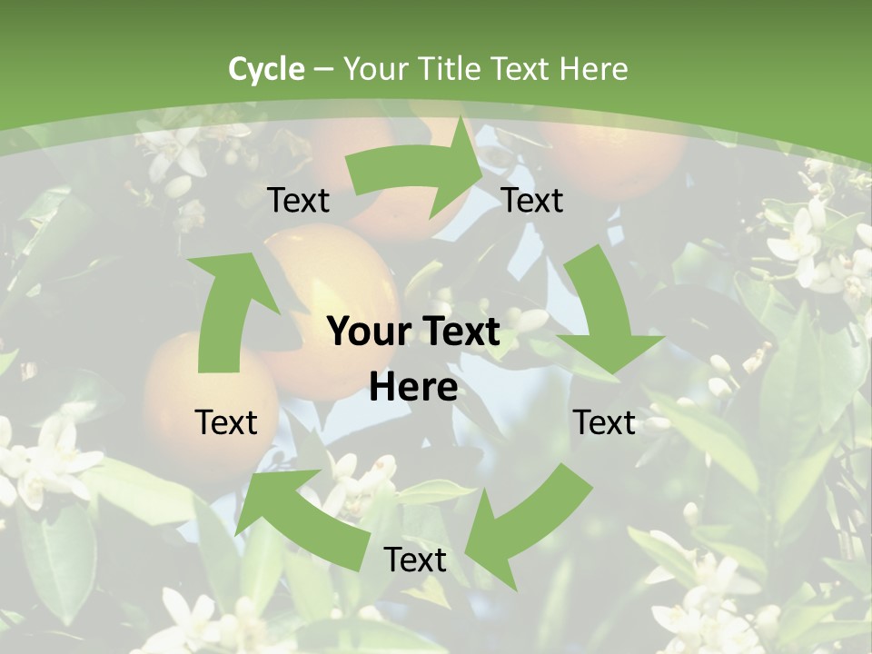 Orange Tree PowerPoint Template