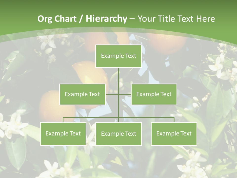 Orange Tree PowerPoint Template