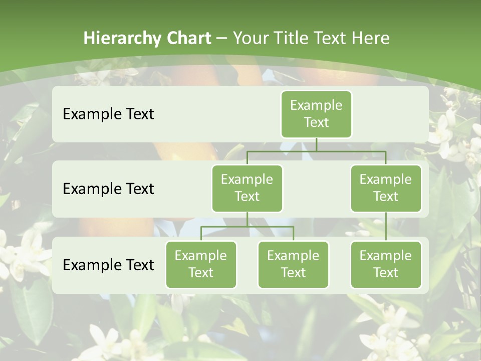 Orange Tree PowerPoint Template