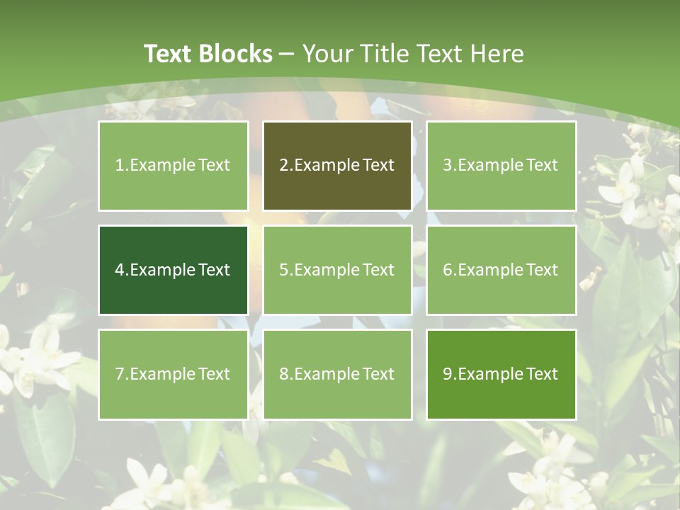 Orange Tree PowerPoint Template