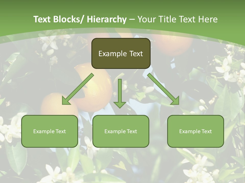 Orange Tree PowerPoint Template