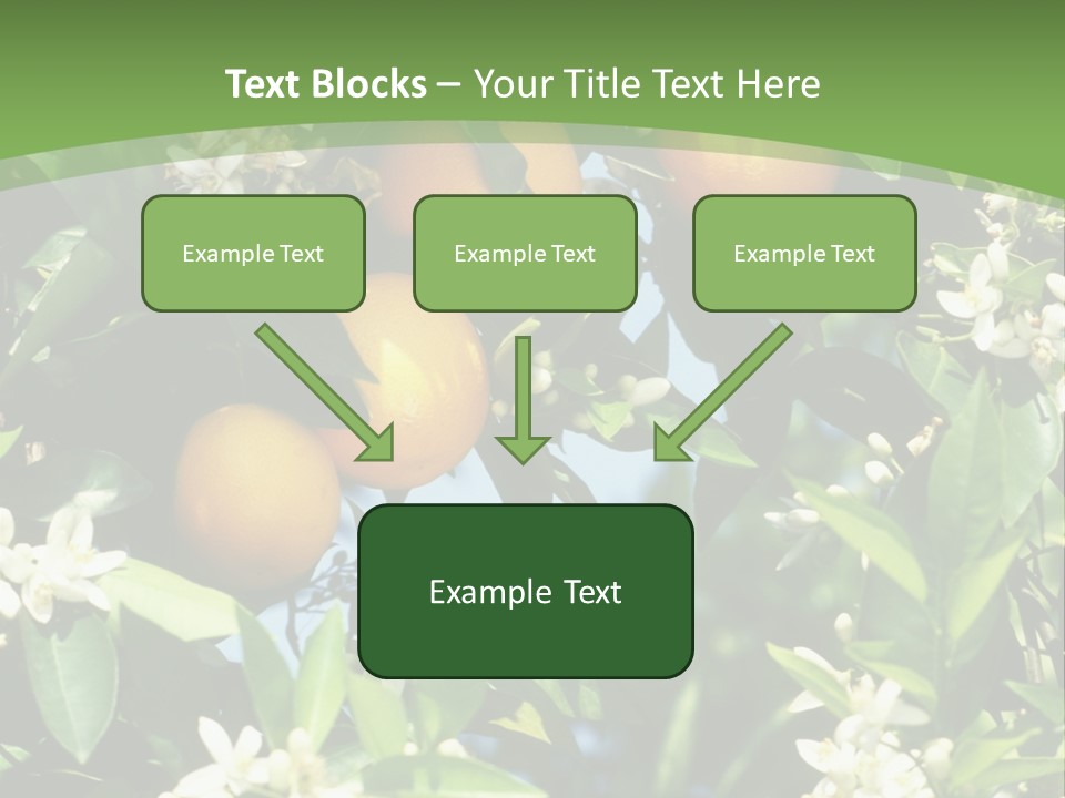 Orange Tree PowerPoint Template