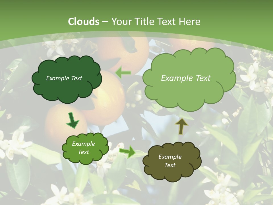 Orange Tree PowerPoint Template