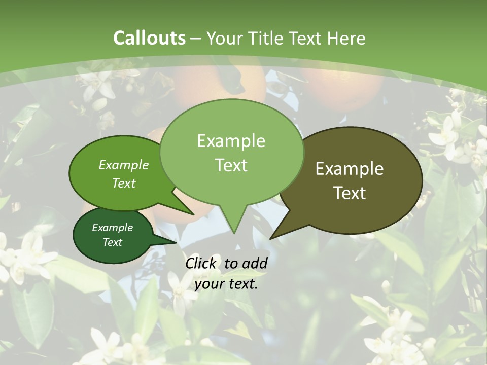 Orange Tree PowerPoint Template