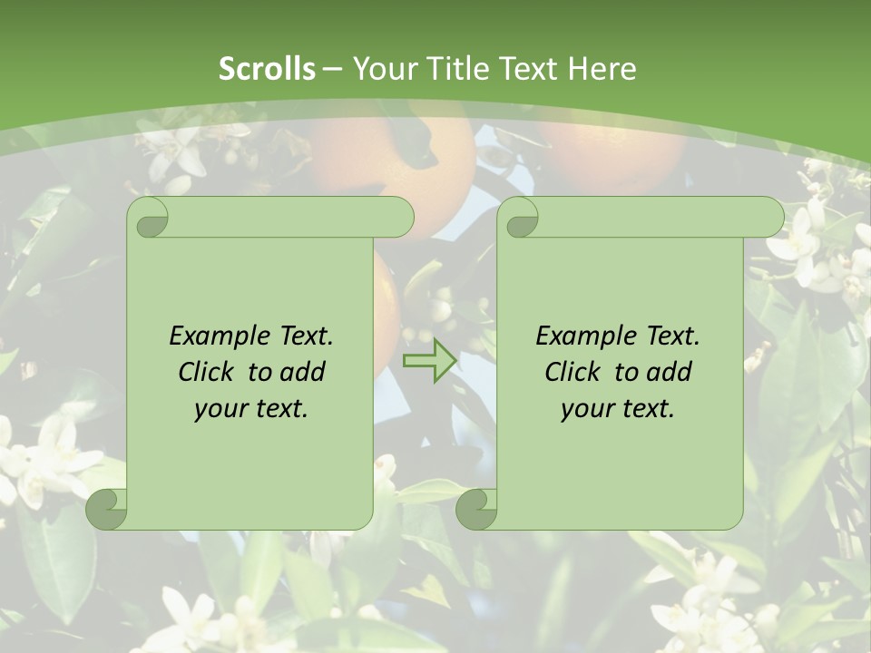 Orange Tree PowerPoint Template