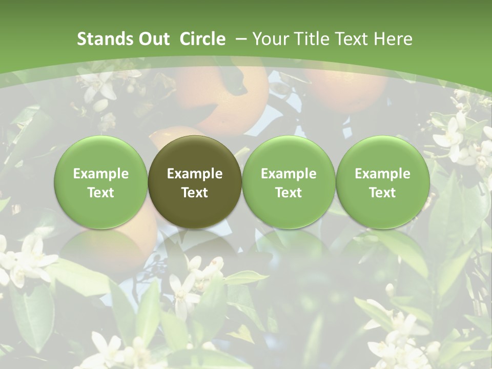 Orange Tree PowerPoint Template