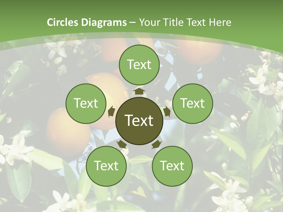 Orange Tree PowerPoint Template