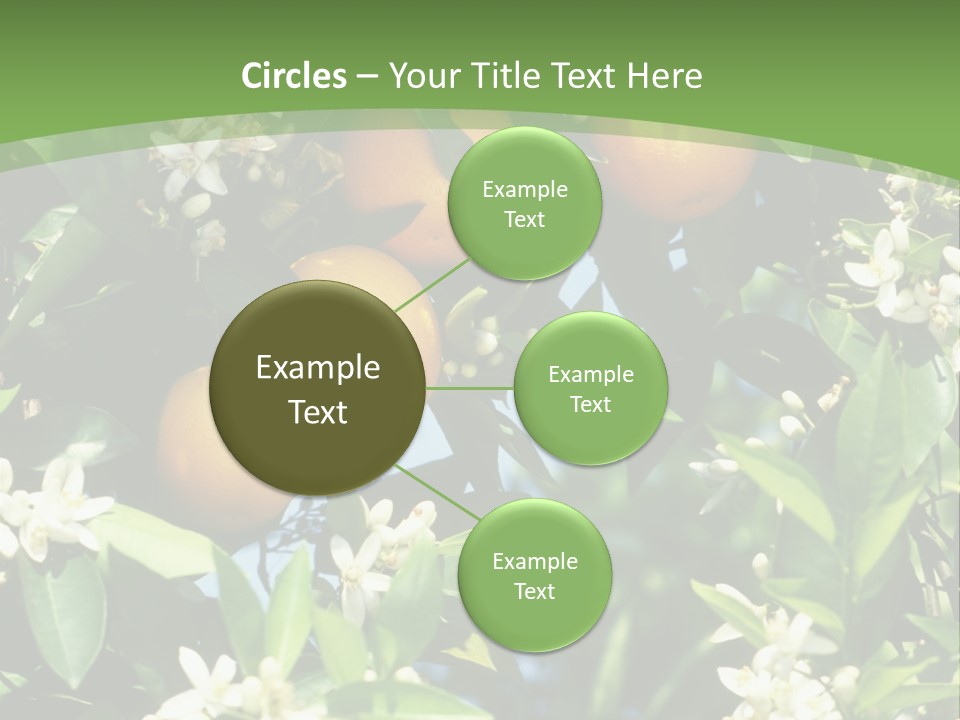 Orange Tree PowerPoint Template