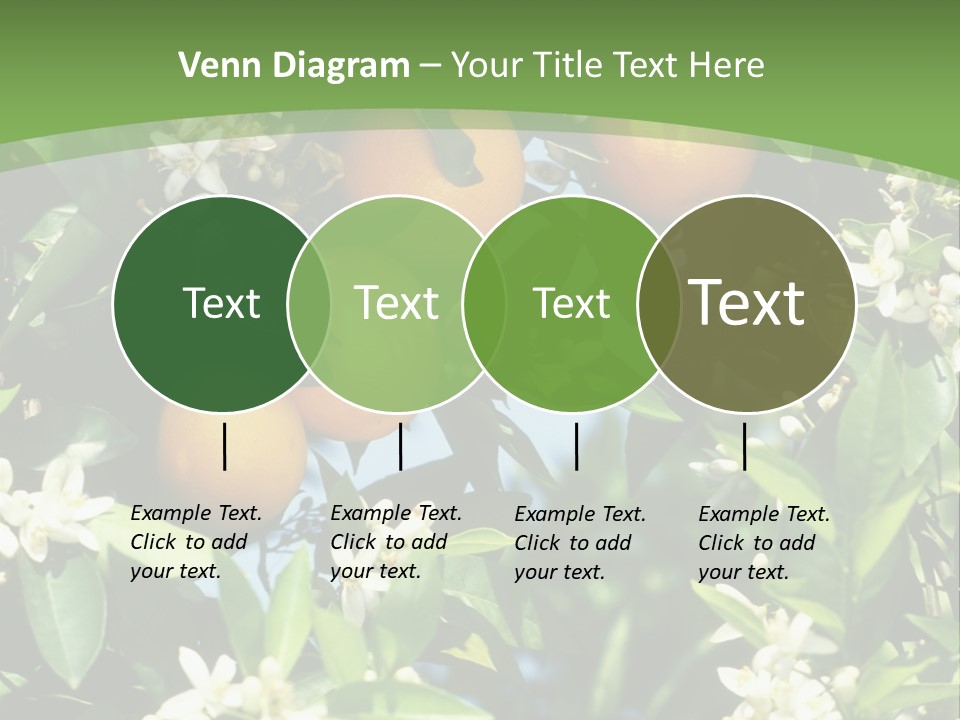 Orange Tree PowerPoint Template