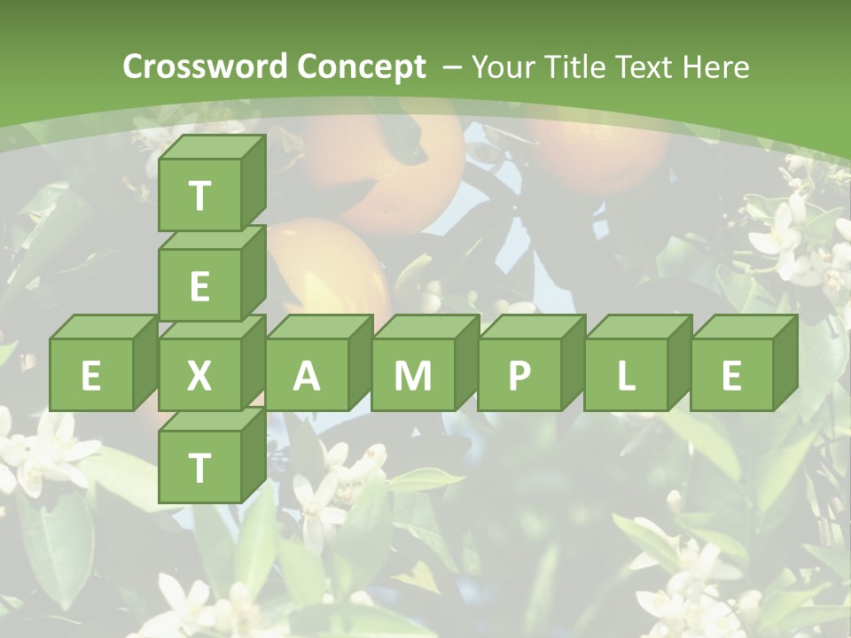 Orange Tree PowerPoint Template