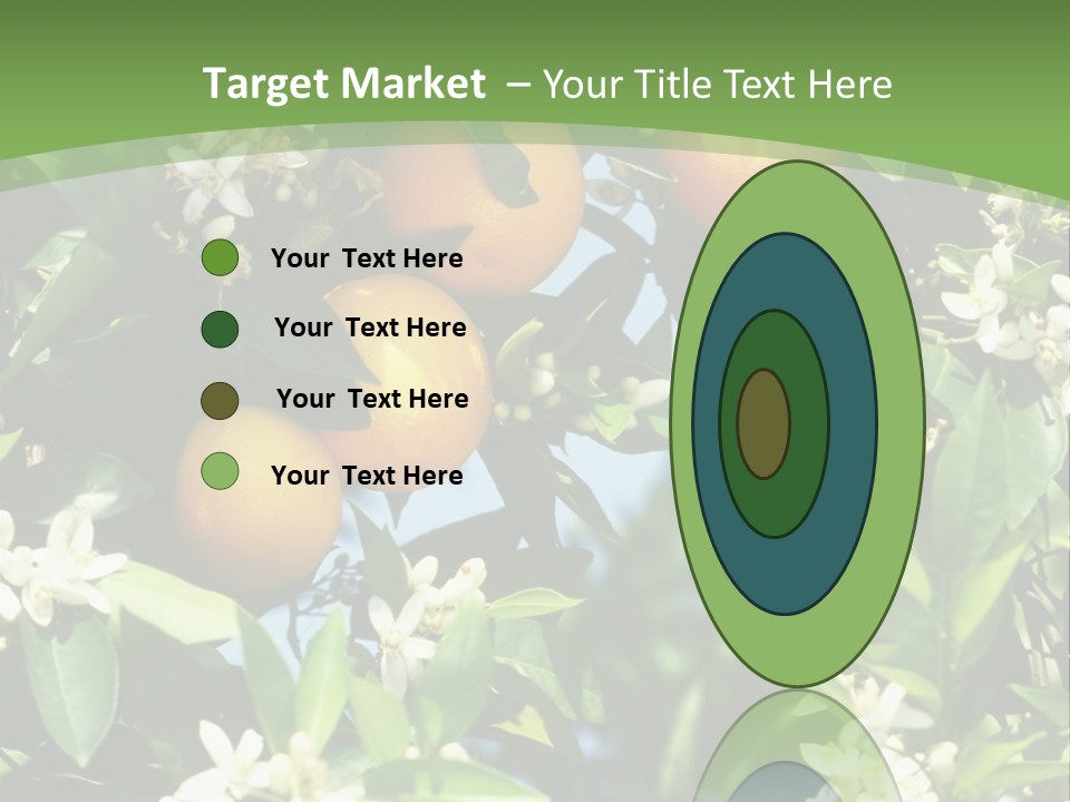 Orange Tree PowerPoint Template