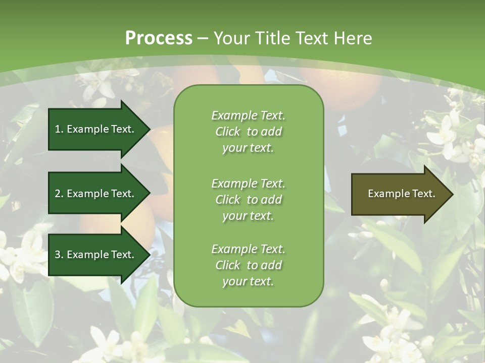 Orange Tree PowerPoint Template