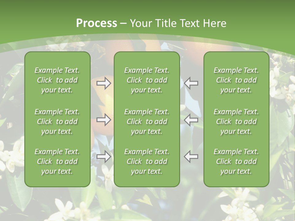 Orange Tree PowerPoint Template