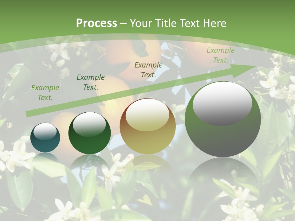 Orange Tree PowerPoint Template