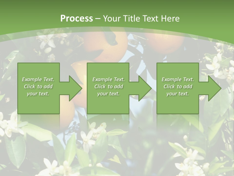 Orange Tree PowerPoint Template